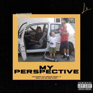 My Perspective (Explicit)