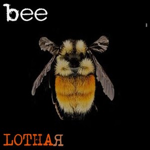 Bee! (Explicit)