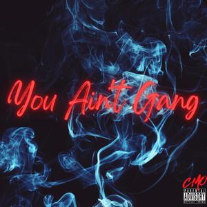 You Ain't Gang(feat. CMO Took, Eastside Lulu, Rocketboy Nift, Realio Presents, Zoski & Milo Akoo) (Explicit)