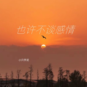 也许不谈感情