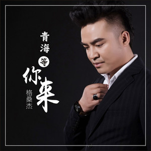 青海等你来 (伴奏)封面