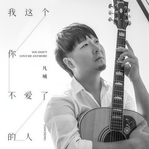 凡城 - 我这个你不爱了的人
