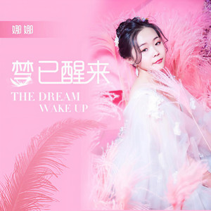 梦已醒来