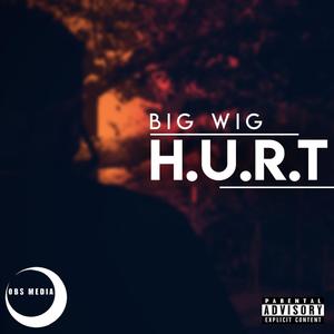 Do Not Give Up(feat. Finnegan, Maggy & Trickie NezQuick) (Explicit)