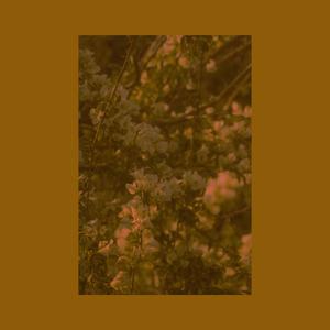 im a big boy now, and im not sure what to do