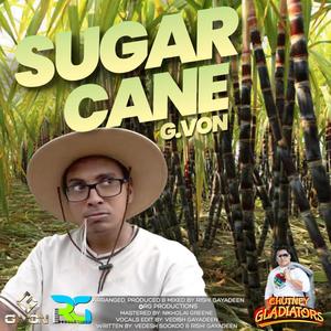 SUGAR CANE