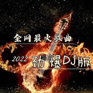 舞女泪 (DJ默涵版)封面