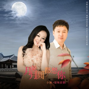 月缺月圆都想你 (DJ版)