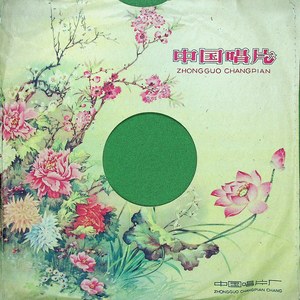 红色的种子（九）