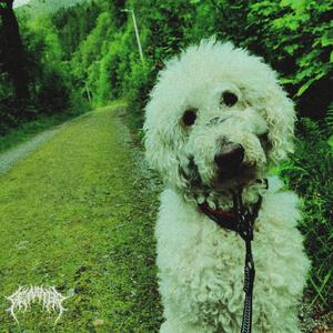 Talefeil (feat. VALMAR) (Explicit)