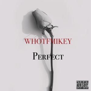 Perfect (Explicit)