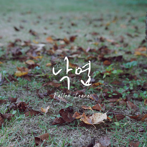 낙엽 Fallen Leaves (Inst.)