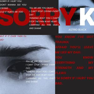 Sorry K (Radio Edit)