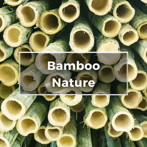 Healing Bamboo Energy