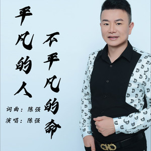 平凡的人不平凡的命 (伴奏)