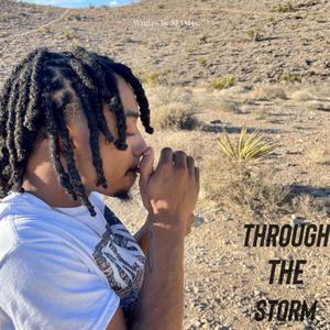 Through the Storm (Explicit)