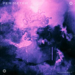 Hindsight (feat. Anthony Villani)