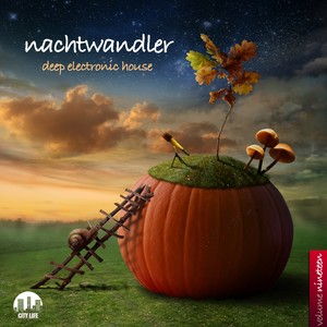 Nachtwandler, Vol. 3 - Deep Electronic House