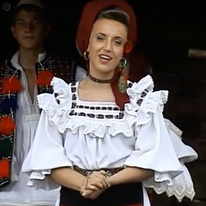 Câte Flori Îs Pă Pământ