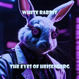 White Rabbit