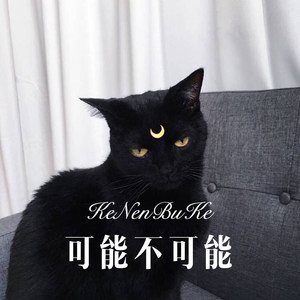 我有一只小毛驴 (Remix)