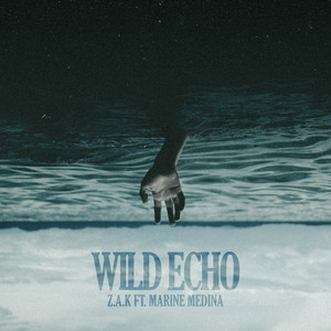 Wild Echo