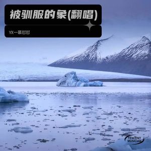 被驯服的象 (Demo)