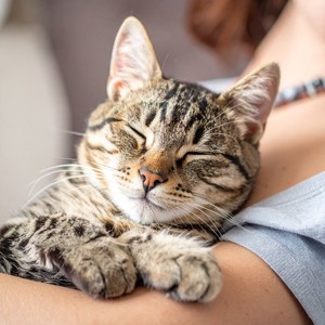 Momentos De Calma Con Música De Guitarra