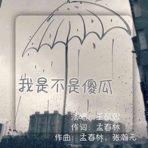 王研熙 - 我是不是傻瓜