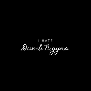 I Hate Dumb Niggas (Explicit)