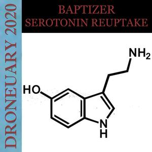 Serotonin Reuptake