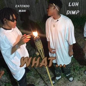 What... (feat. Extendo Mani) [Explicit]