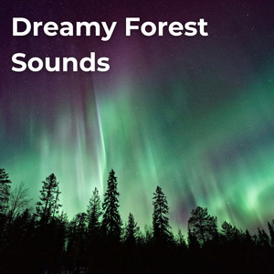 Drifting Streams - Azure Forest