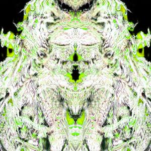 untitled_44 (super slowed)