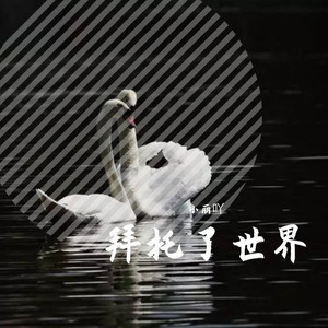 才高八斗好兄弟 (特别版) - 小丽吖封面