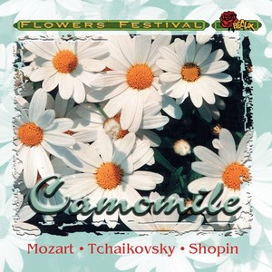 Canon in D major for Strings