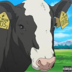 LOLCOW (Explicit)