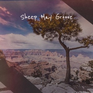 Sheep May Groove