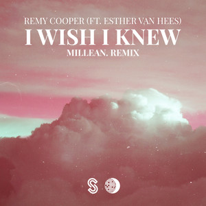 I Wish I Knew (Millean. Remix)