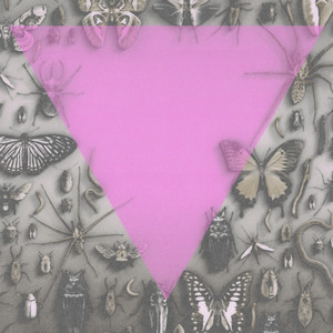 Even An Empire Can Burn...