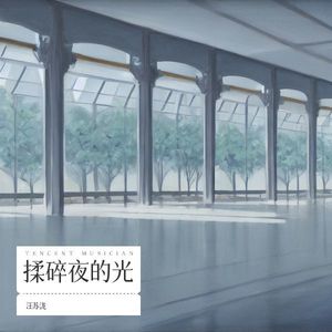 揉碎夜的光