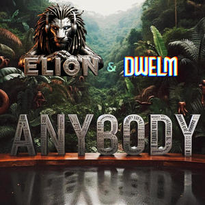 ANYBODY (feat. DWELM)