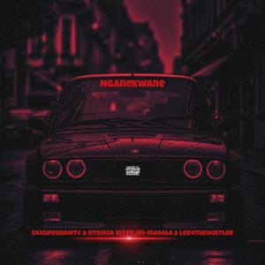 NGANEKWANE (feat. Ntshiza187, Jin-Madala & Lerothehustler) (Explicit)