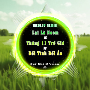 Medley: Lại Là Noem / Tháng 11 Trở Gió / Đổi Tình Đổi Áo (Quý Nhỏ Remix)