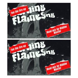 Burning Flames (feat. Nova) (DJ Riddim Master Remix Road Mix)