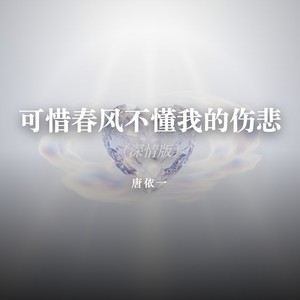 可惜春风不懂我的伤悲-唐依一