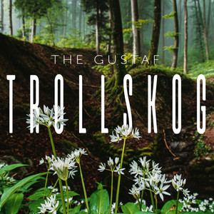 Trollskog