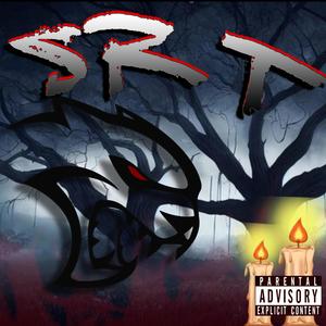 SRT (prod. soultiise) [Explicit]