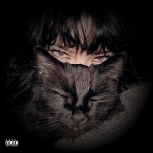 Maldita de Franja (feat. lavd667)