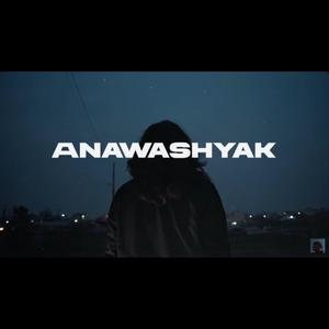 Anawashyak 2.0